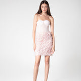 Petal Blush Handcrafted Skirt & Corset